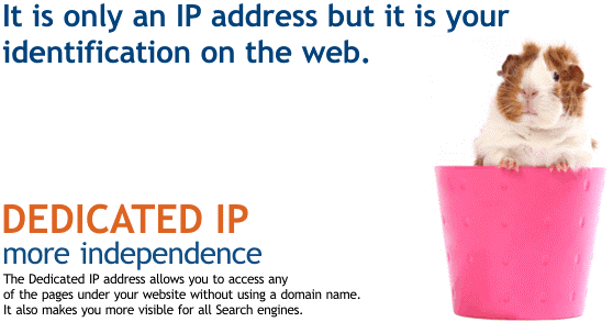 L'importanza dell'indirizzo IP